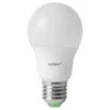 Airam LED 5,5W E27 Pakkaslamppu -Airam Halpakauppa 6435200192097