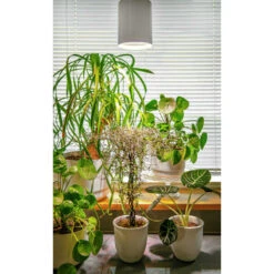 Airam Fiora IP20 800lm Led-kasviriippuvalaisin -Airam Halpakauppa 6435200228246 3