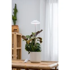 Airam Iris IP20 5W 240lm Valkoinen Kasvivalo -Airam Halpakauppa 6435200292629 2