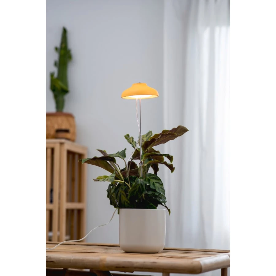 Airam Iris IP20 5W 240lm Keltainen Kasvivalo 5 Airam Iris IP20 5W 240lm Keltainen Kasvivalo - Image 3